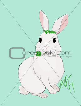 Easter Bunny and Four Leaf Clover