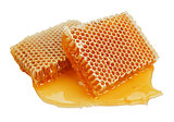 fresh honey in comb 