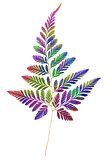 Multicolour Fern Leaf 