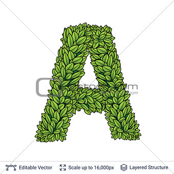 Letter A symbol of green leaves.