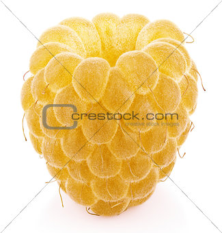 Single yellow raspberry fruit isolated on white