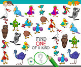 find one of a kind with birds characters