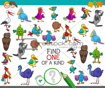 find one of a kind with birds characters