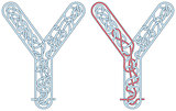 Maze letter Y