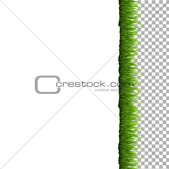 Nature background With Flowers And Grass