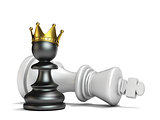 Black pawn has won white king 3D