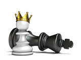 White pawn has won black king 3D
