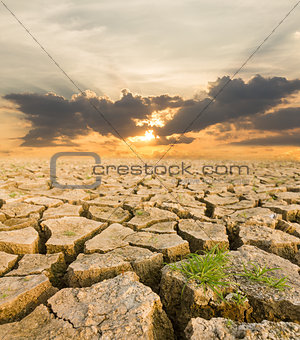 Drought land under the evening sunset 