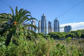 Buenos Aires, view from Costanera Sur ecological reserve