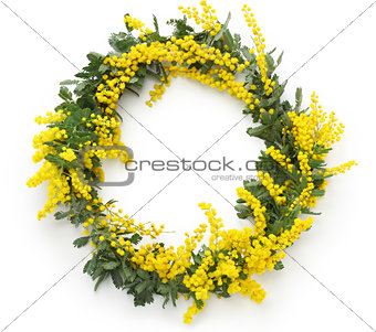 mimosa wreath