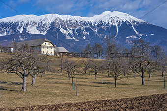 Landscape with Farmhouse and Meadow with trees, Gorenjska - Slovenia