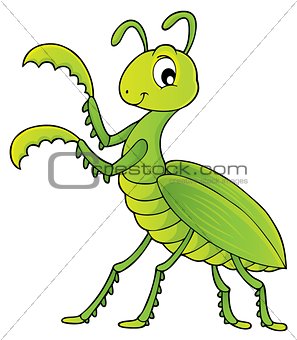 Praying mantis theme image 1