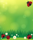 Spring background with ladybugs 2