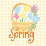 Spring text with tulip flower. Vector illustration