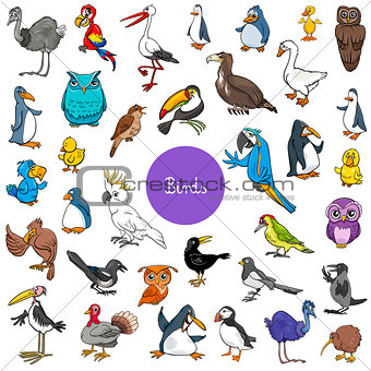 cartoon birds animal characters big set