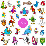 cartoon birds animal characters big collection