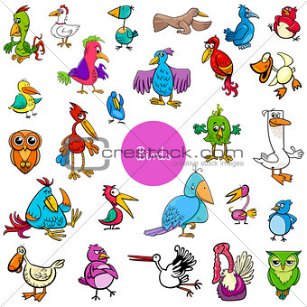 cartoon birds animal characters big collection