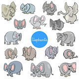 cartoon elephants animal characters collection