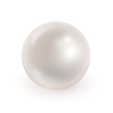 Vector illustration of realistic pearl isolated on transparen ba