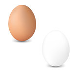 2 Fresh Egg Isolated White Background