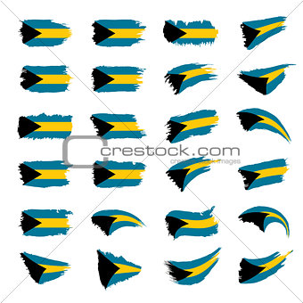 Bahamas flag, vector illustration