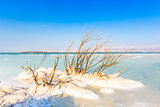 View of Dead Sea coastline. Salt crystals at sunset. Texture of Dead sea. Salty sea shore