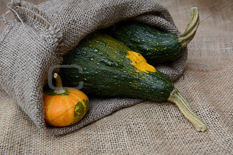 Small orange gourd with two large green warty squashes