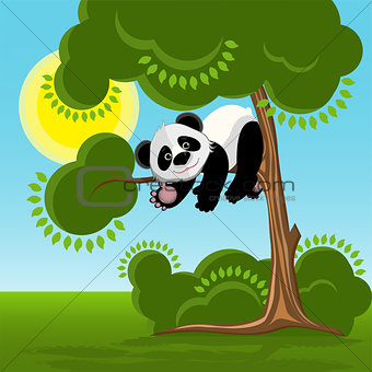 Panda on the Tree illustration