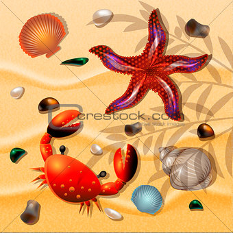 Shells, crab and starfishes on sand background.