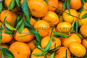 tangerines on market