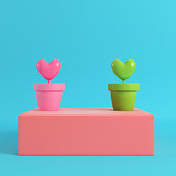 Two hearts in the pots on red box on bright blue background