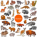 wild mammals animal characters big set