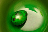 Green Easter Egg on Green Background