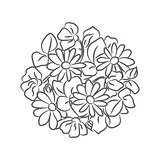Chamomile floral rosette vector isolated composition.
