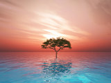3D landscape with tree in ocean against a sunset sky