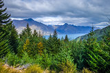 Lake Wakatipu and mountain forest, New Zealand