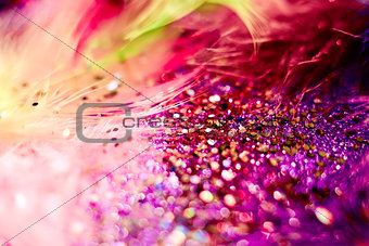 macro shot of feather and glitter