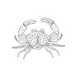 Vector  Crab