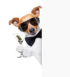 dog toasting with  a cocktail