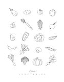 Pen line vegetables icons