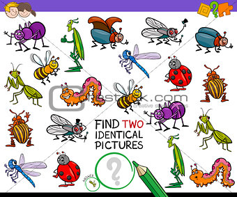 find two identical cartoon insects game for kids