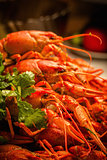 boiled lobster