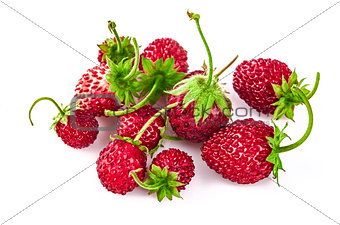 Berry wild strawberry with green leaves handful