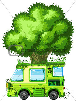 Tree Van