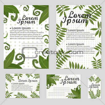 Set of Floral vector cards Design with green leaves - elegant greenery