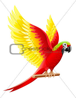 Budgerigar parrot Ara waving wings