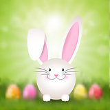 Easter bunny background 