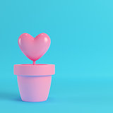Pink heart in the pots on red box on bright blue background. Min
