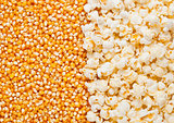 Raw golden sweet corn and popcorn seeds half plate