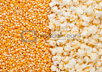 Raw golden sweet corn and popcorn seeds half plate